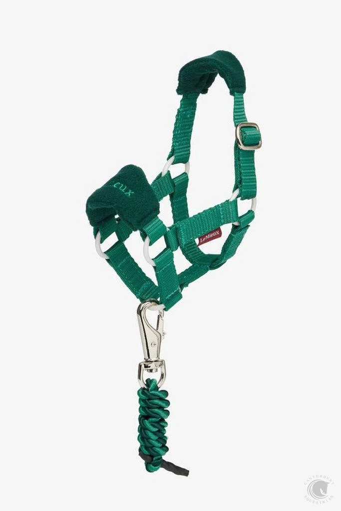 LeMieux Toy Pony Vogue Headcollar Evergreen 3 LeMieux Toy Pony Vogue Headcollar Evergreen