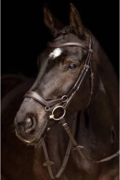 LeMieux Arika Drop Bridle Brown/Silver