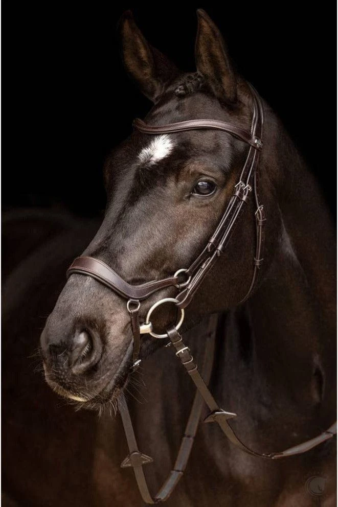 LeMieux Arika Drop Bridle Brown/Silver 3 LeMieux Arika Drop Bridle Brown/Silver