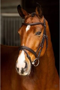 LeMieux Arika Flash Bridle Brown/Silver