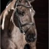 LeMieux Arika Flash Bridle Black/Silver 1 LeMieux Arika Flash Bridle Black/Silver -Lemieux it03736 lifestyle arikaflashbridle black 1 copy