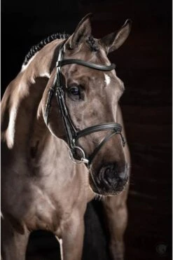 LeMieux Arika Flash Bridle Black/Silver