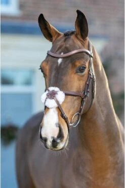 LeMieux Arika Figure 8 Bridle Havana/Silver