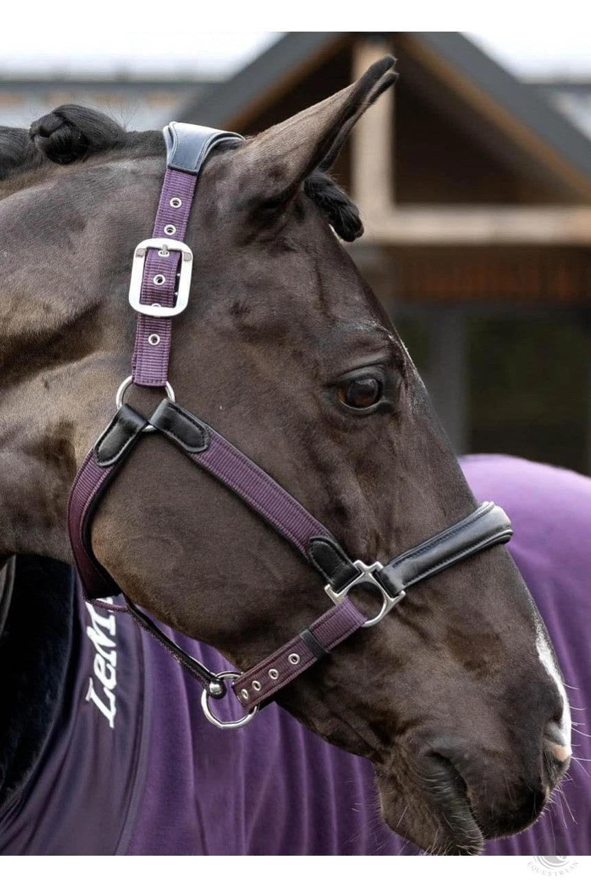 LeMieux Capella Headcollar Fig 4 LeMieux Capella Headcollar Fig - Image 2