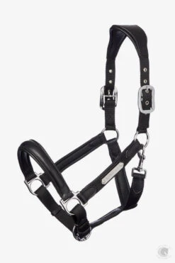 LeMieux Capella Headcollar Black
