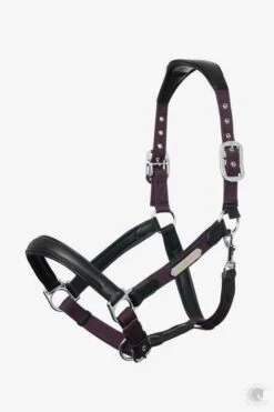 LeMieux Capella Headcollar Fig