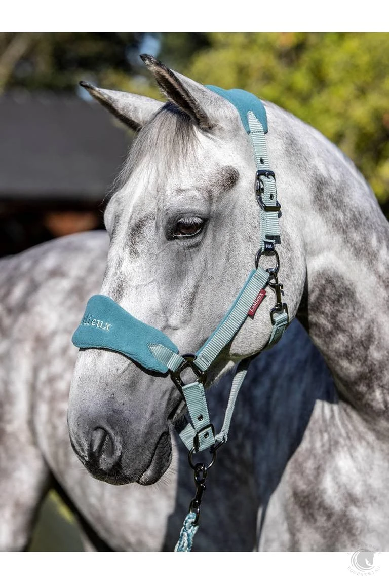 LeMieux Vogue Headcollar & Leadrope Sage 4 LeMieux Vogue Headcollar & Leadrope Sage - Image 2