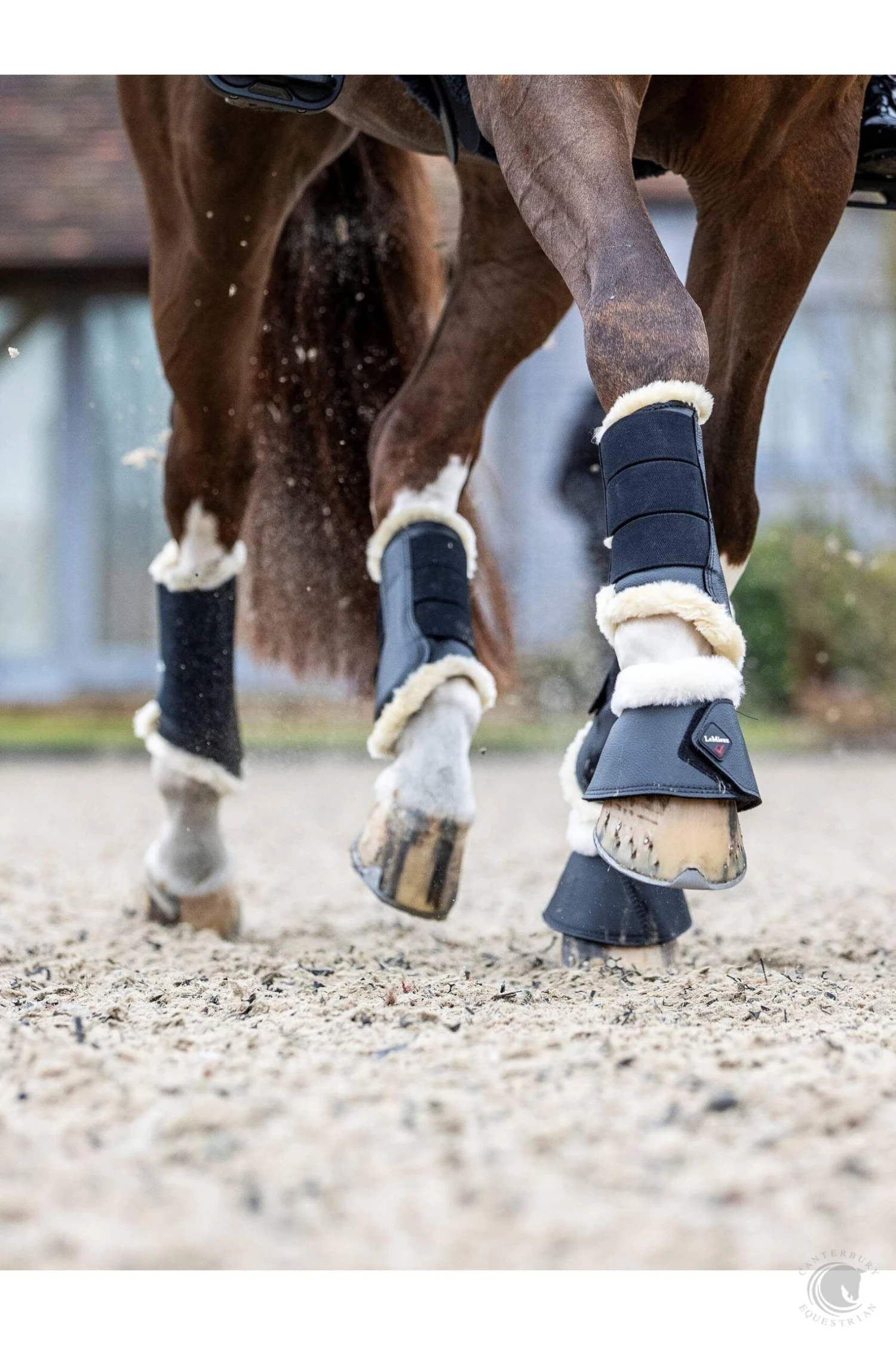 LeMieux Fleece Lined Brushing Boots Black/Natural 4 LeMieux Fleece Lined Brushing Boots Black/Natural - Image 2