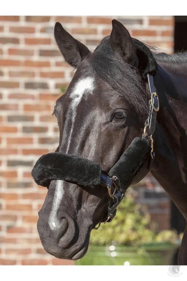 LeMieux Lambskin Headcollar Set 4 LeMieux Lambskin Headcollar Set - Image 2