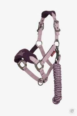 LeMieux Mini Vogue Headcollar & Leadrope Fig