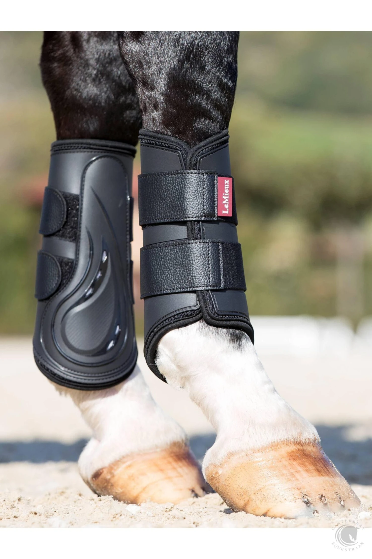 LeMieux ProShell Brushing Boots Black 4 LeMieux ProShell Brushing Boots Black - Image 2