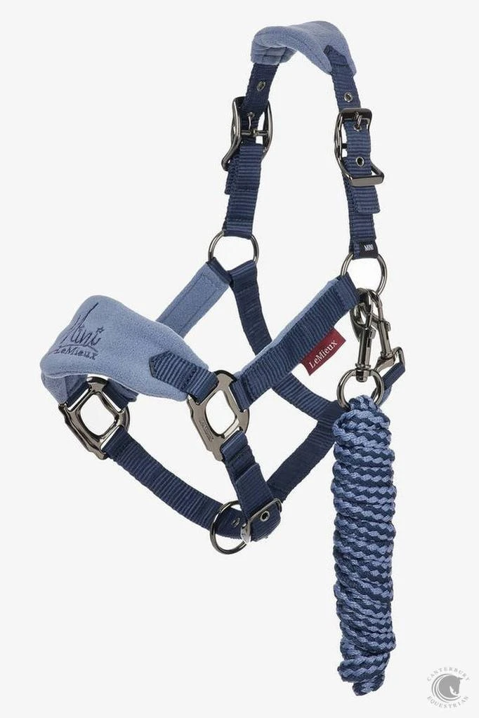 LeMieux Mini Vogue Headcollar & Leadrope Indigo 3 LeMieux Mini Vogue Headcollar & Leadrope Indigo