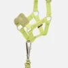 LeMieux Toy Pony Vogue Headcollar Kiwi
