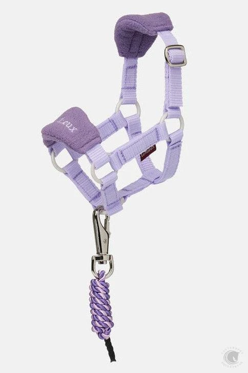 LeMieux Toy Pony Vogue Headcollar Wisteria 3 LeMieux Toy Pony Vogue Headcollar Wisteria