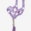 LeMieux Toy Pony Headcollar Shimmer Purple 1 LeMieux Toy Pony Headcollar Shimmer Purple -Lemieux lm unicornheadcollar purple hr 1