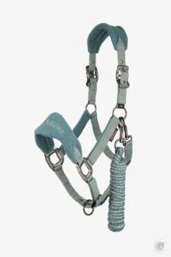 LeMieux Vogue Headcollar & Leadrope Sage