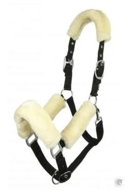 LeMieux Comfort Headcollar 3 Colours! 8 LeMieux Comfort Headcollar 3 Colours! -Lemieux s296853650893547581 p5234 i2 w555