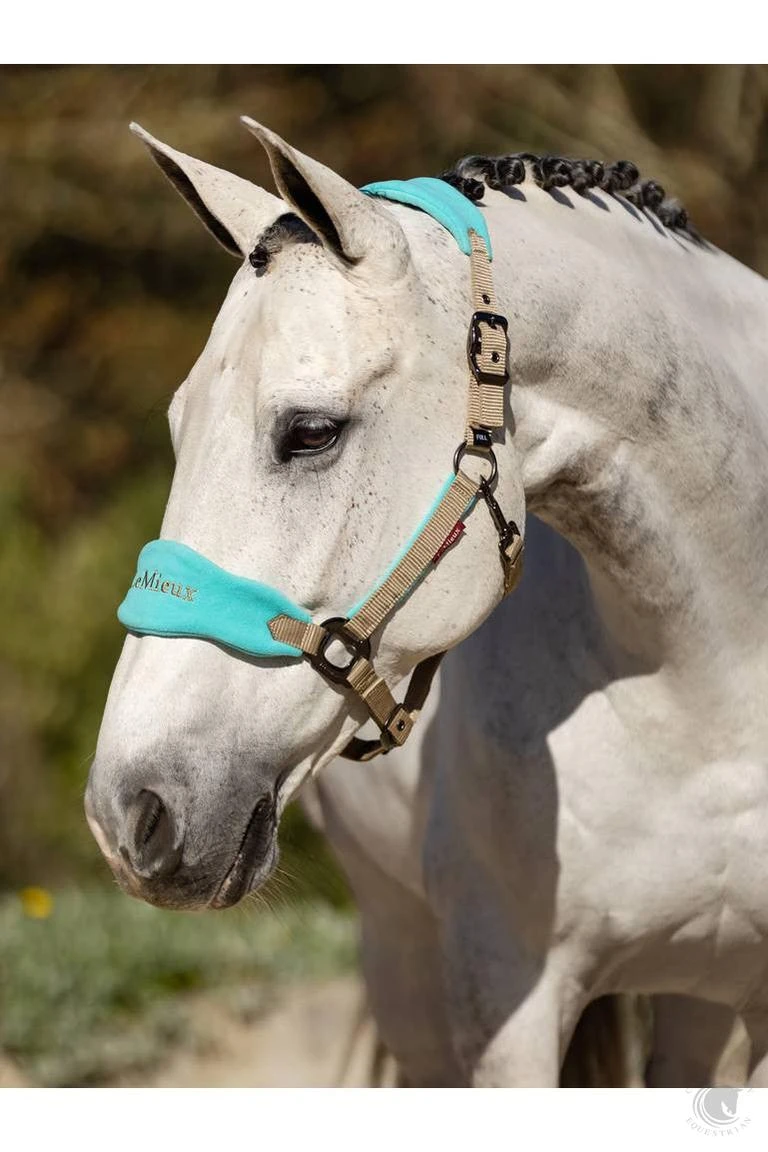 LeMieux Vogue Headcollar & Leadrope Azure 4 LeMieux Vogue Headcollar & Leadrope Azure - Image 2