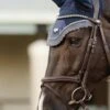 LeMieux Twilight Browband