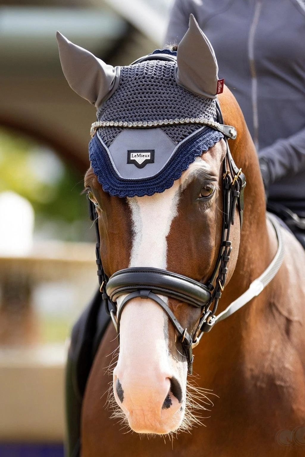 LeMieux Twilight Browband 4 LeMieux Twilight Browband - Image 2