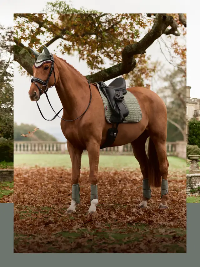 Front Page -Lemieux AW25 3x4 Trending Banners2